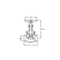 Globe valve Type: 1410 Bronze Internal thread (NPT) PN25